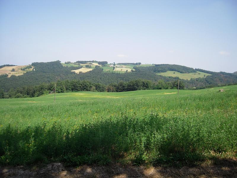 RUNEDA 2010 (17).JPG